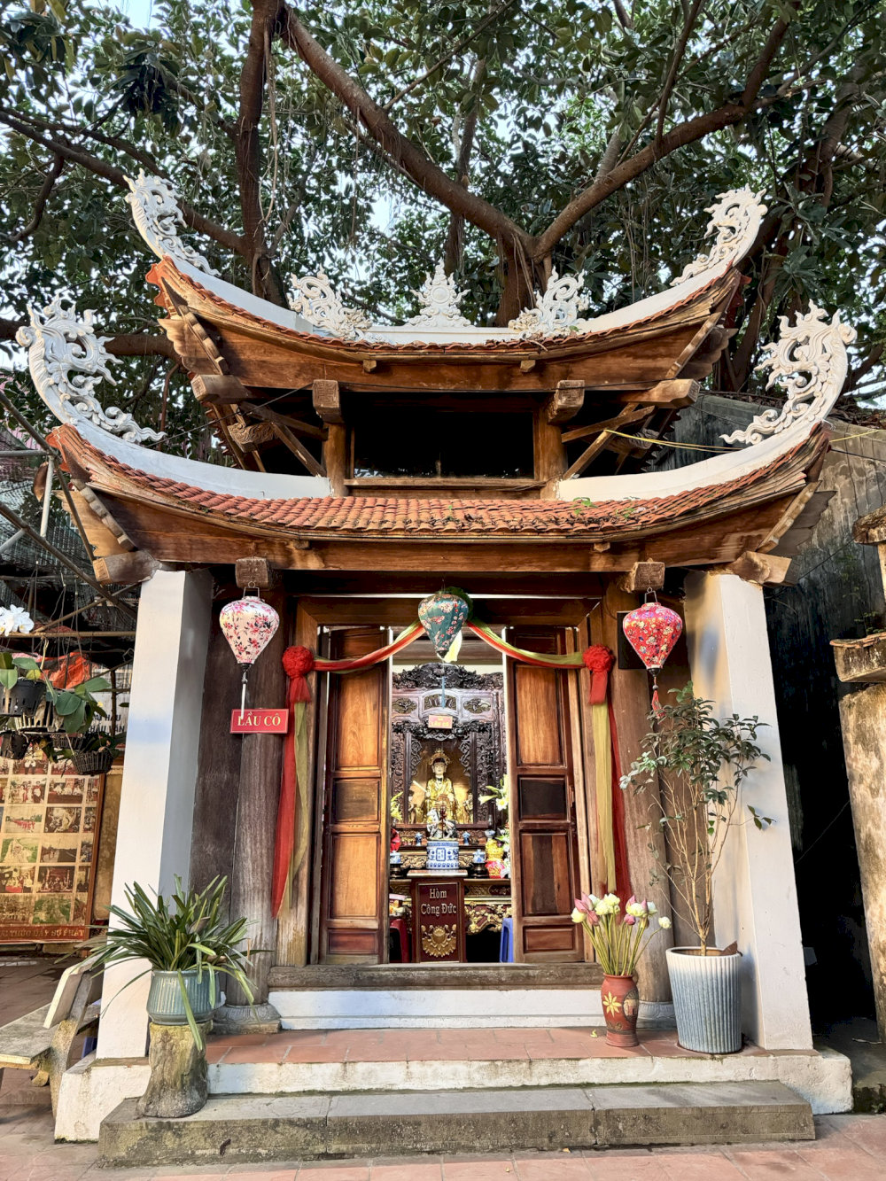 Lầu Cô, Lầu Cậu 